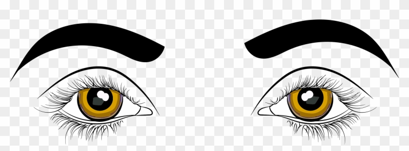 Eyes Illustration - Eyes Images Clip Art #813953