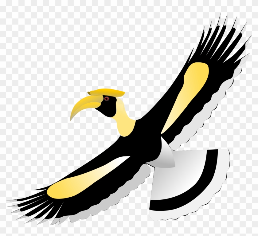 Eagle Flying Cliparts 20, Buy Clip Art - Hornbill Bird Png #813991