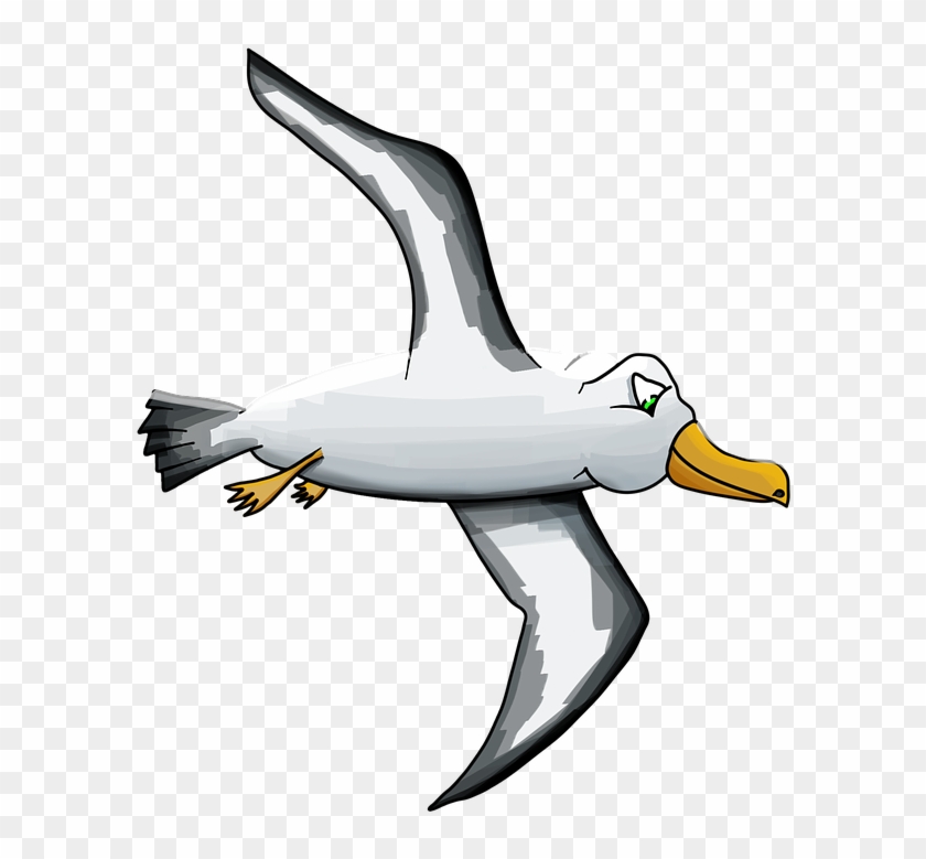 Bird Gulls Albatross Cartoon Clip Art - Albatross #814022