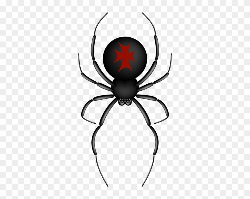 Crusader Spider Transparent Png Clip Art Image - Crusader Transparent #814019