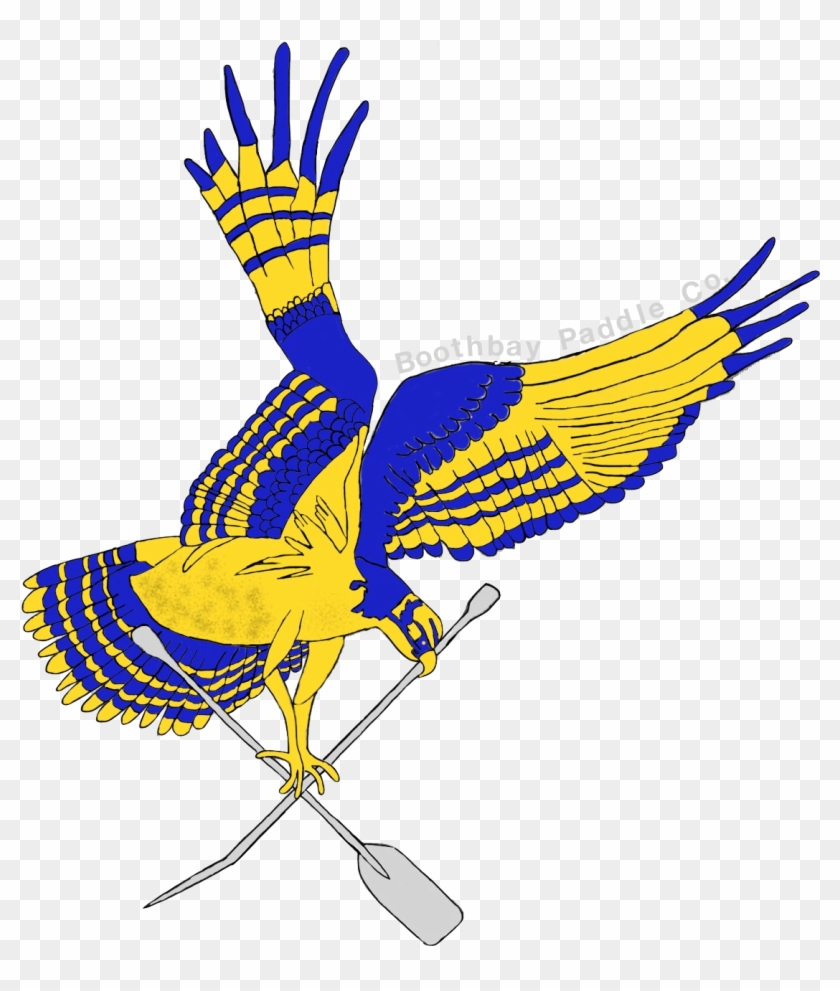 Golden Eagle #814105