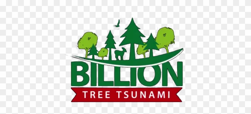 Councilors Allege Irregularities In Billion Tree Tsunami - Councilors Allege Irregularities In Billion Tree Tsunami #814285