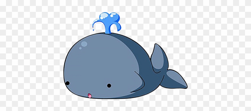 Baleen Whale Cartoon Dolphin - Dolphin #814546