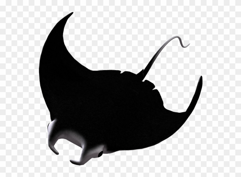 Manta Ray 04 By Wolverine041269 On Deviantart - Manta Ray Png #814927