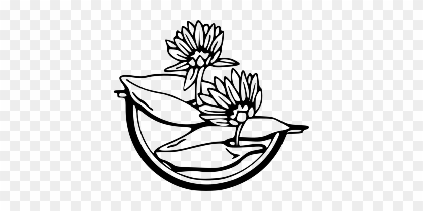 Flowers, Black And White, Floral, Water - Water Lily Clip Art #815045