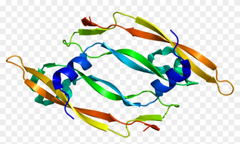 56, 24 December 2009 - Vascular Endothelial Growth Factor #147054