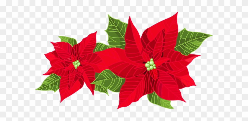 Mistletoe Clipart Free Download Clipartfest - Christmas Decor Poinsettia #147128