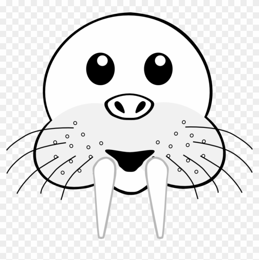 Walrus Clipart Outline - Face Of Animal Clipart Black And White #149210