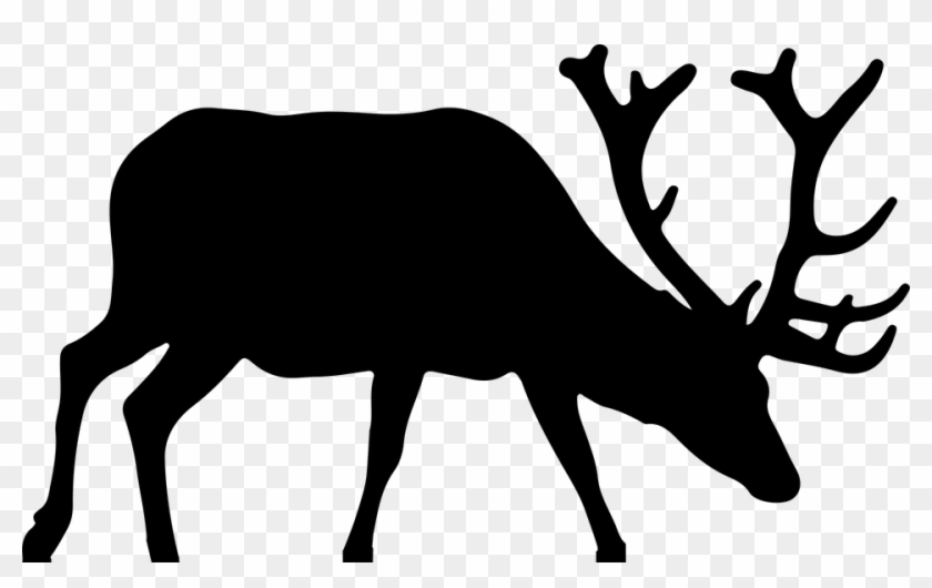 Animal Antlers Deer Elk Silhouette - Elk Clip Art #149735