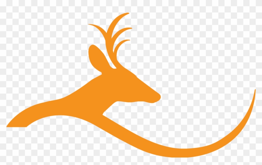 Deer Hill Expeditions Deer Hill Expeditions - Deer Running Logo #149767