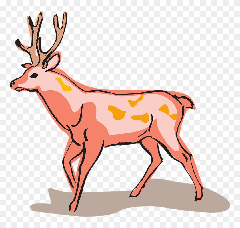 Red Deer Style Wild Animal Unusual - Red Deer Easy Drawing #149768