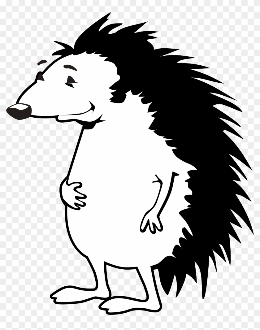 Porcupine Coloring Book Crokky Coloring Pages - Hedgehog Black And White Clipart #149813