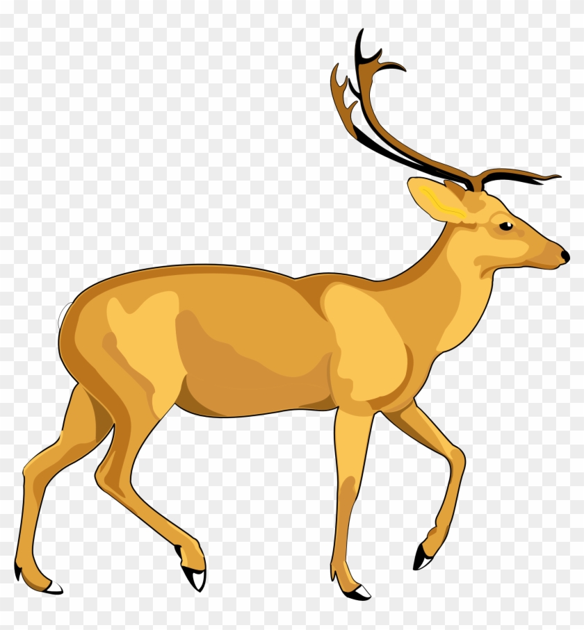 Deer Vector Png Transparent Image - Deer Vector Png #149812