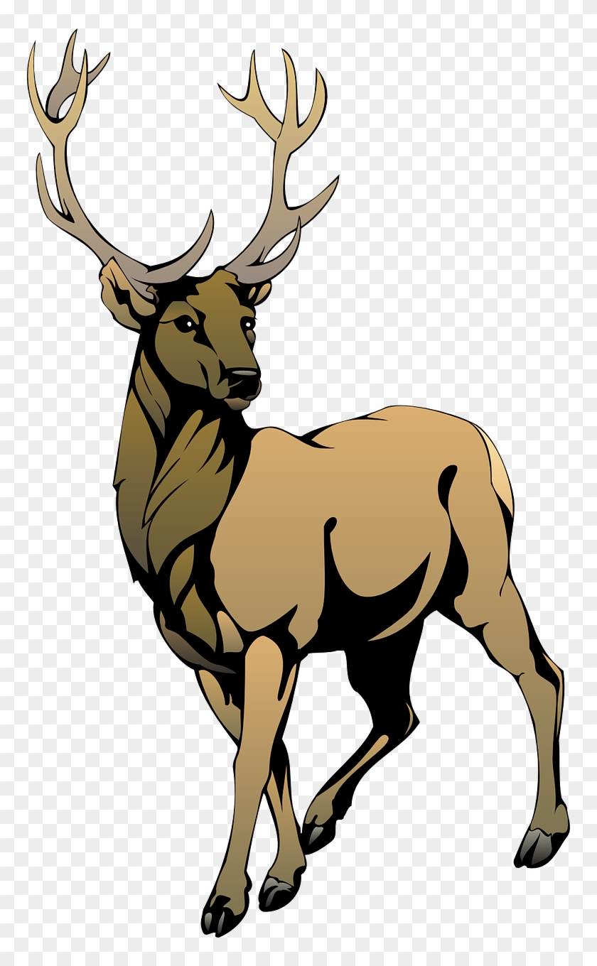 Stag Clipart Animal - Duke Blue Devils Men's Basketball #149901