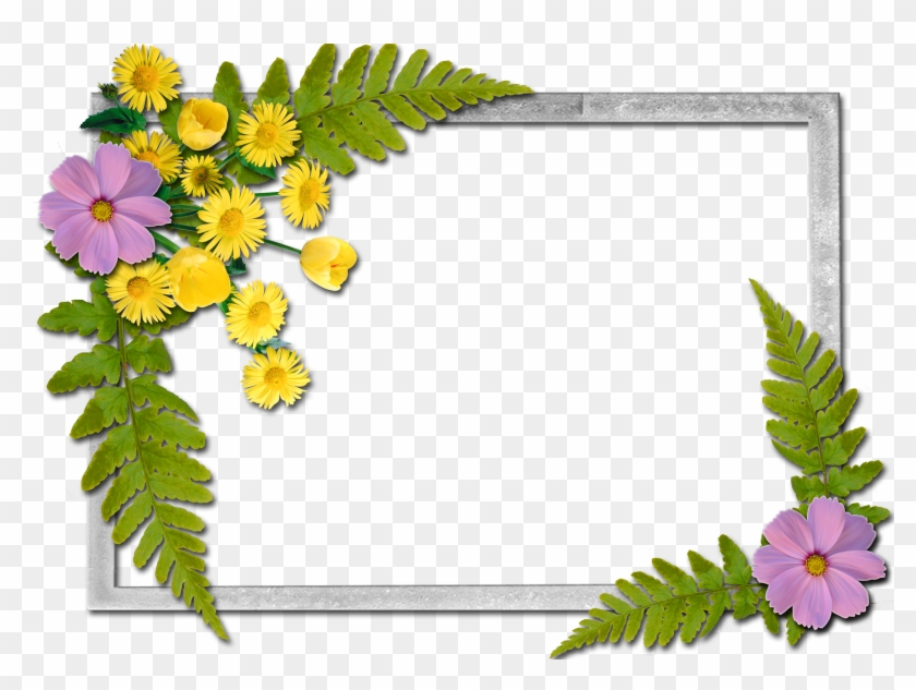 Writing Paper - Flowers Frames #150435