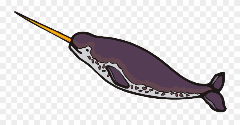 Narwhal Clip Art - Narwhal Clip Art #150624