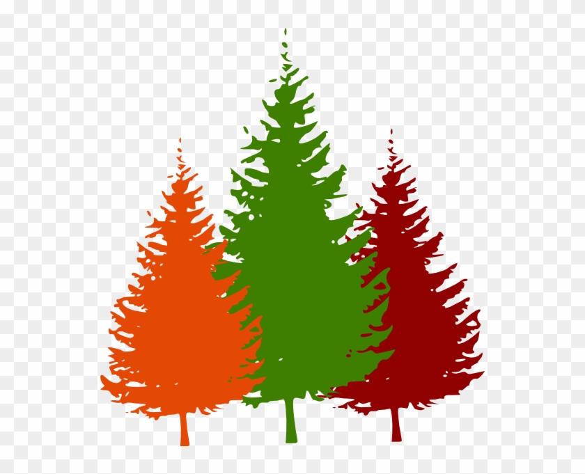 Pine Tree Silhouette Vector #151409