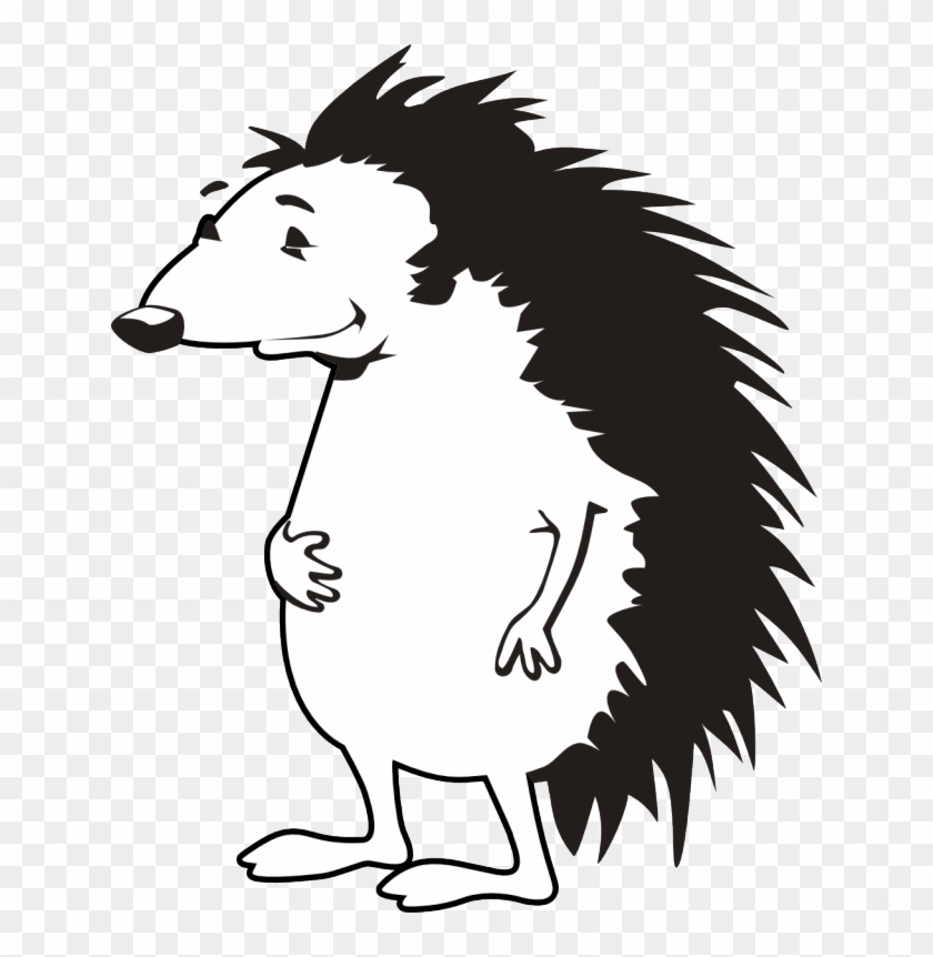 Porcupine Clip Art Free Clipart Library Free Clipart - Hedgehog Black And White Clipart #151450