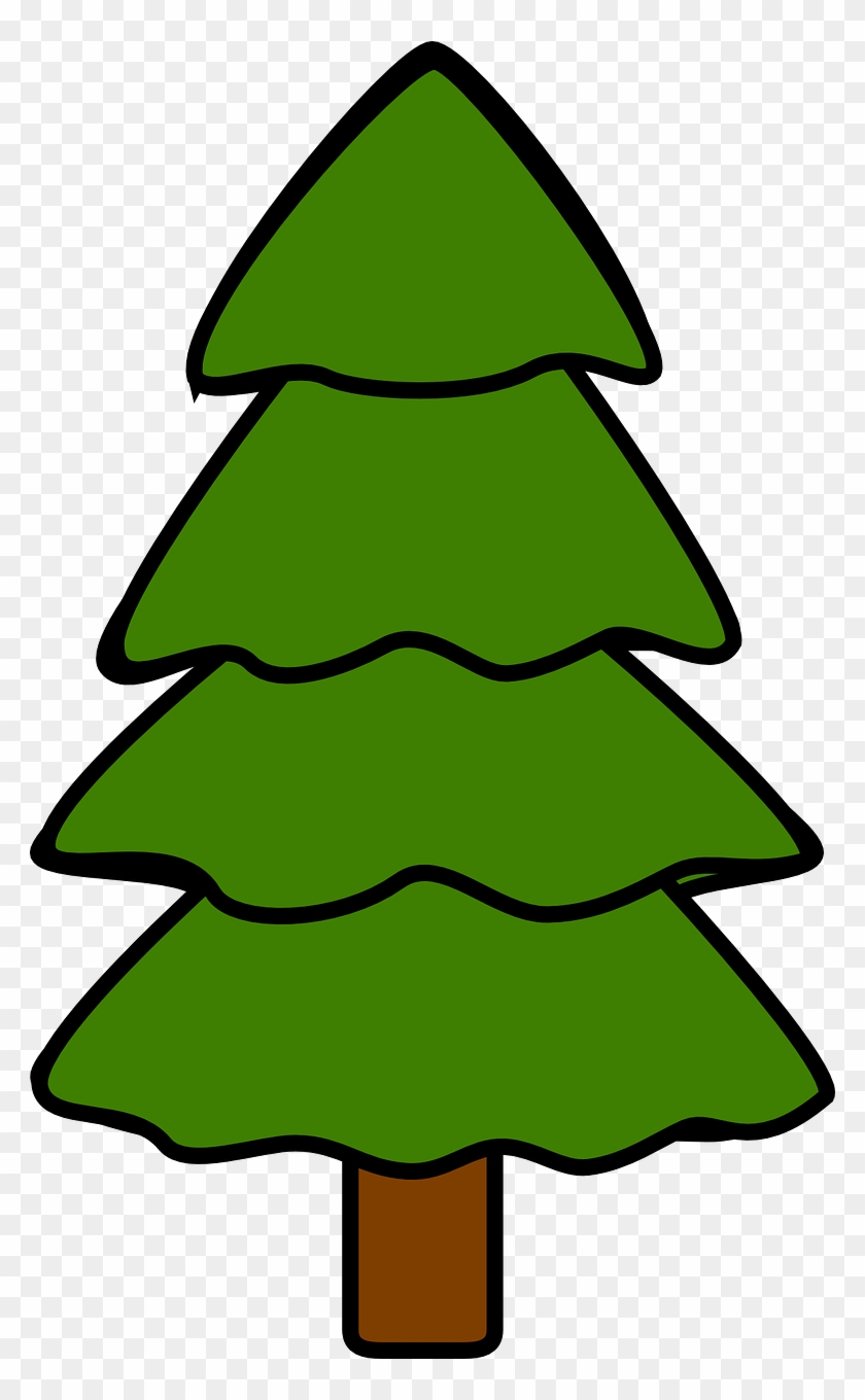 Tree, Fir, Pine, Spruce, Nature - Tree, Fir, Pine, Spruce, Nature #152486