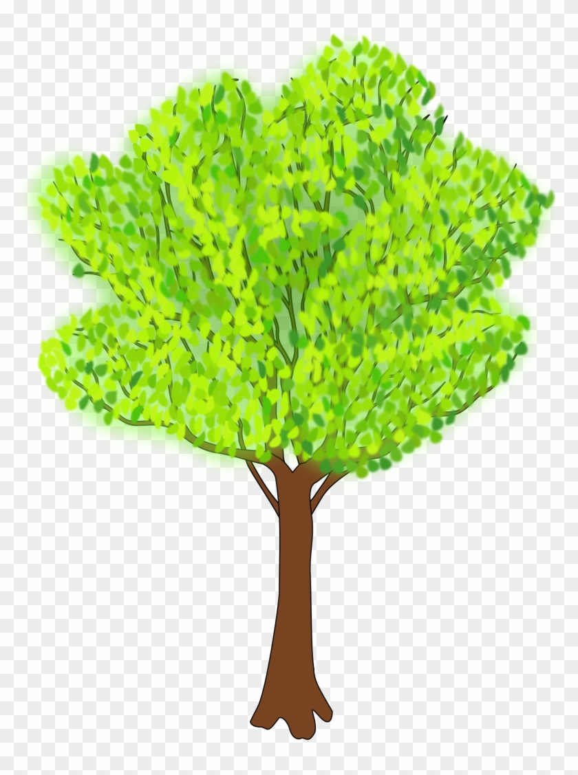 Tree In Summer - Summer Clip Art Tree #152748