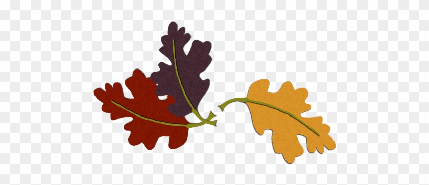 Oak Leaves Of Tree Hill Learning Center Preschool At - Oak Leaves Of Tree Hill Learning Center Preschool At #152789