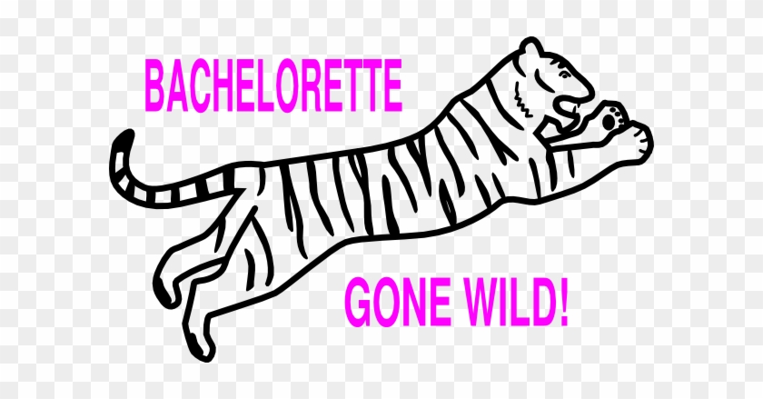 Bachelorette Clip Art - Line Drawing Tiger Easy #153013