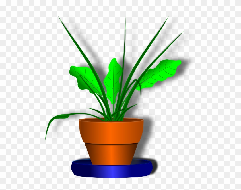 Potted Plant Clip Art Png - Bunga Dan Pot Animasi #153304