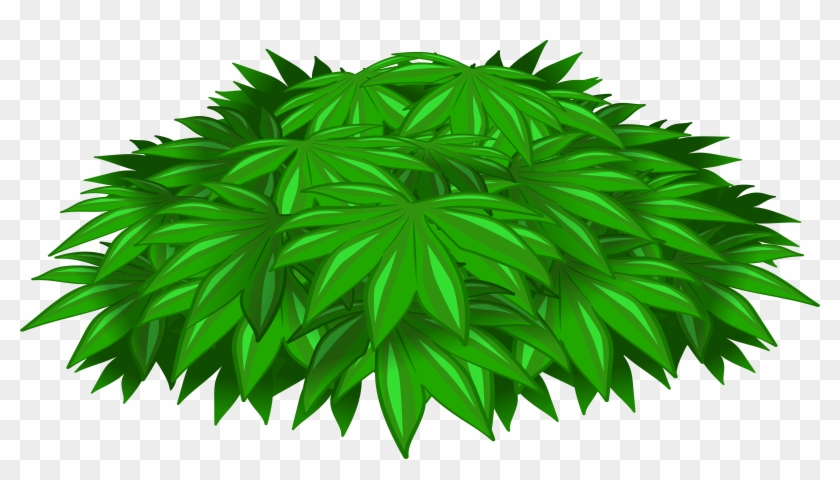 Plant Decotransparent Png Clip Art Image - Clip Art #153332
