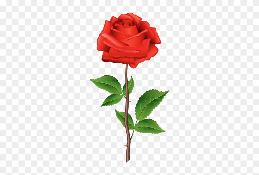 Stem Red Rose Png Clipart - Rose Clip Art Png #153364