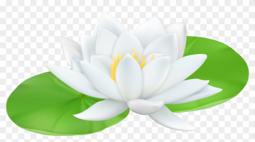 Water Lily Transparent Png Clip Art Image - Water Lily Transparent Background #153382