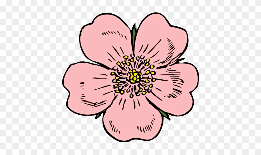 Blossom 20clipart - Blossom Flower Clip Art #153436