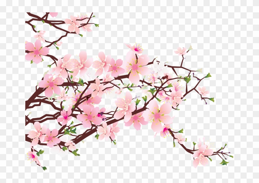 Cherry Blossom Drawings Clip Art - Passages Of Love [book] #153534