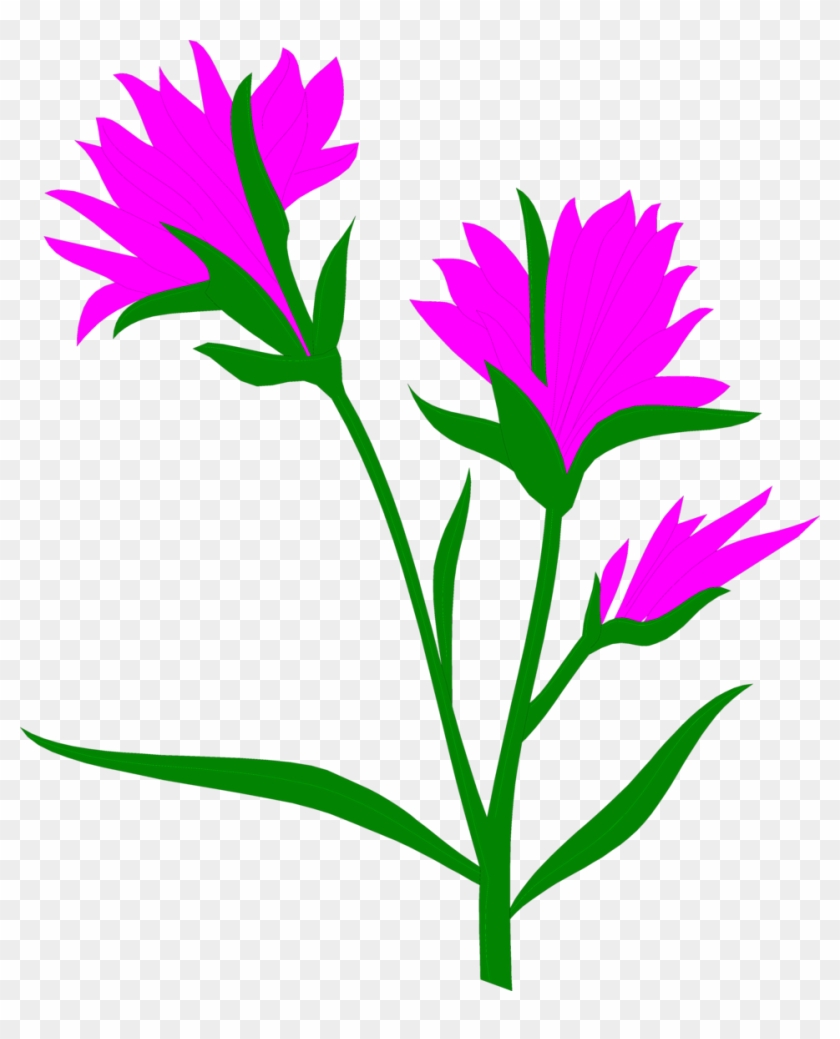 Indian Paintbrush Free Stock Photo Illustration Of - Self Pollination And Cross Pollination #155026