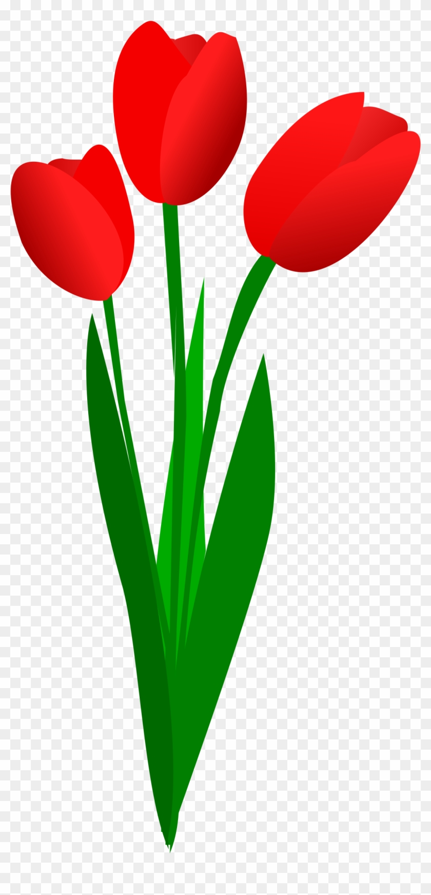 Tulips Clipart - Red Tulip Clip Art #155090