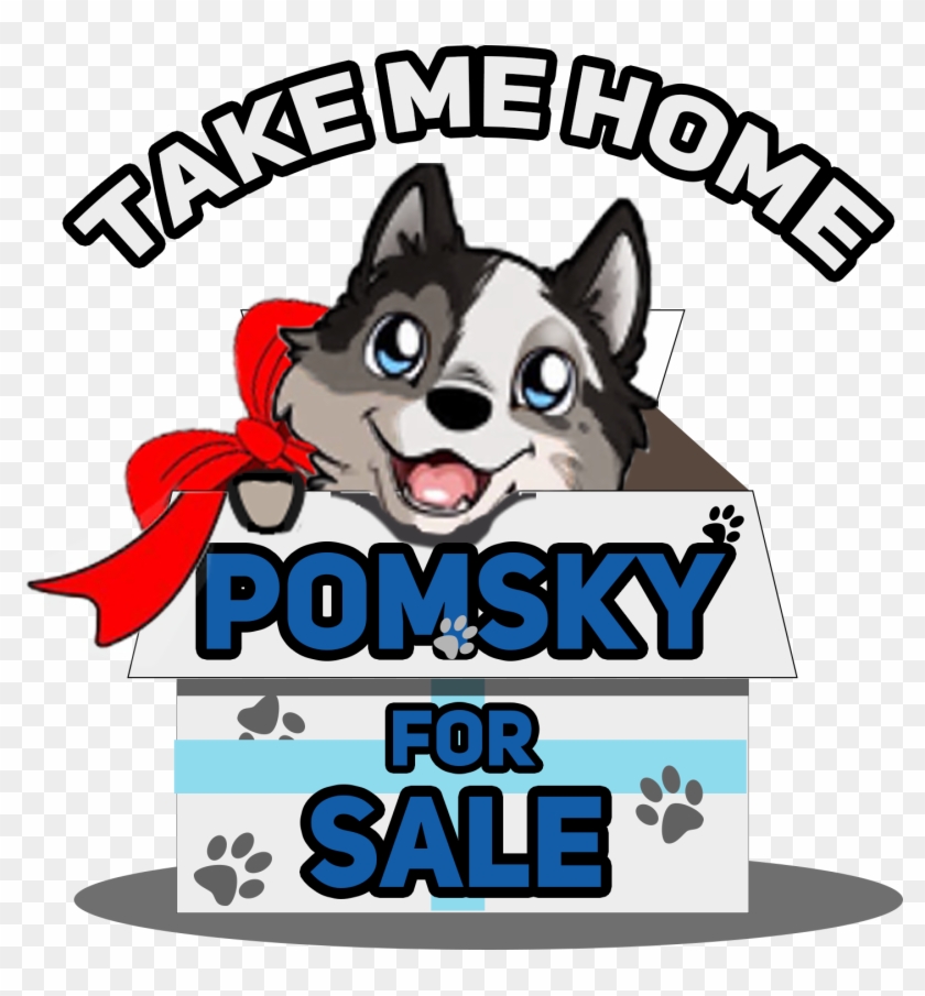 Pomskyforsale Provides You Comprehensive Information - Wolfdog #815646