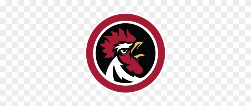 South Carolina, At, Tennessee - Garnet And Black Attack #815833