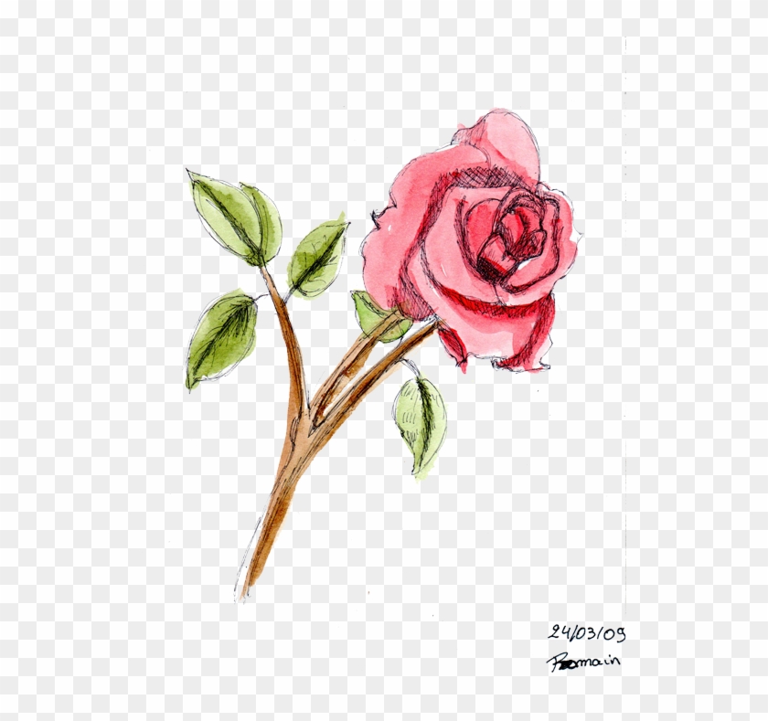 Beautiful Dessin De Rose En Couleur - Dessin D Une Rose En Couleur #815935