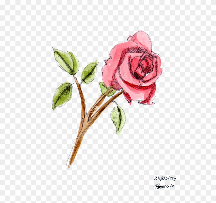 Beautiful Dessin De Rose En Couleur Dessin D Une Rose En Couleur Free Transparent Png Clipart Images Download