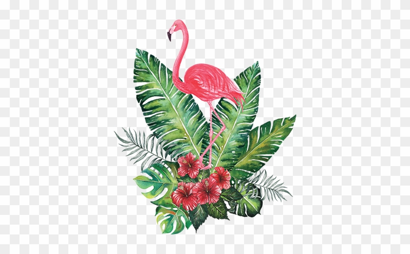 Couleur De Votre Mur - Flamingo Png #816036