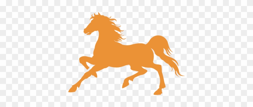 Horse Vector #816692