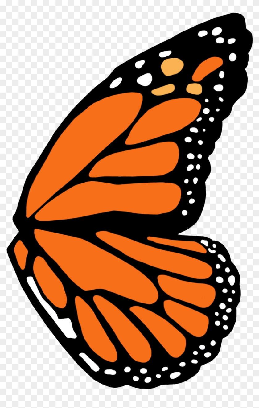 Full Left Monarch Butterfly Wing Template - Brush-footed Butterflies #816757