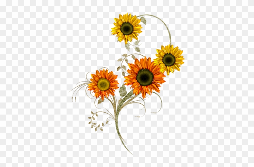 Napraforgó - Thank You Sunflowers Card #816863