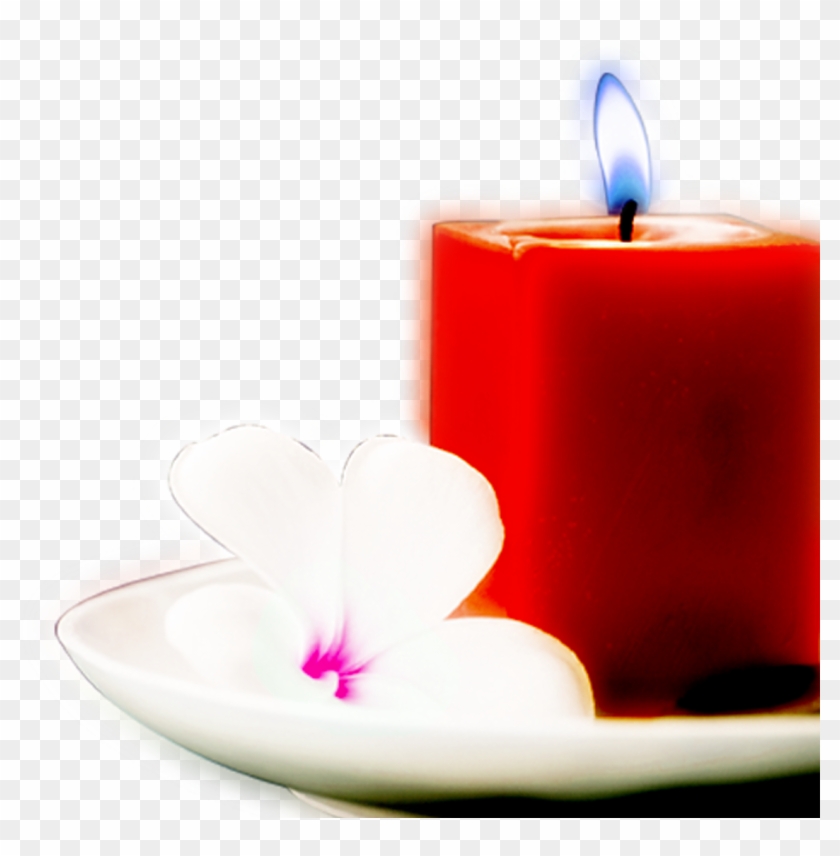 Beautiful Flowers Beautifully Candle Decorative Plates - Beautiful Flowers Beautifully Candle Decorative Plates #816904
