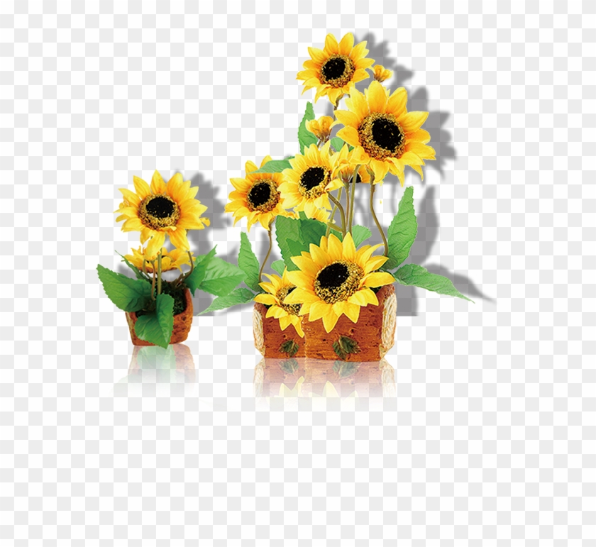 Common Sunflower Computer File - Common Sunflower Computer File #816929