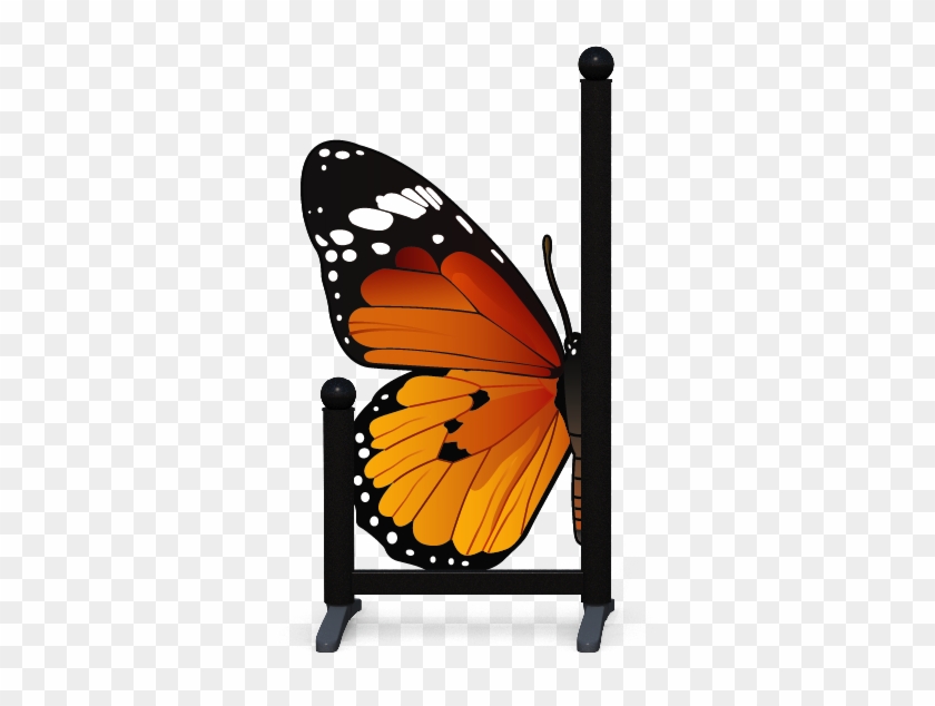 Butterfly - Butterflies And Moths #816928