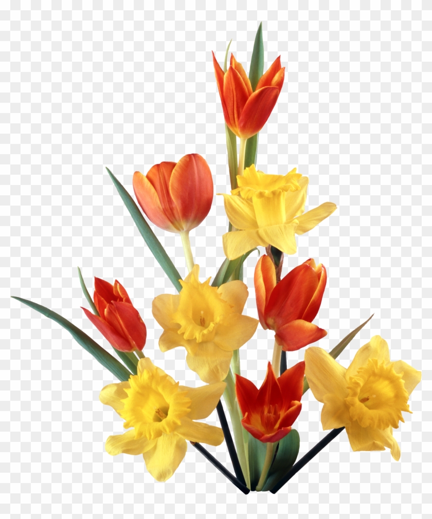 Birthday Flower Bouquet Clipart Free | Best Flower Site