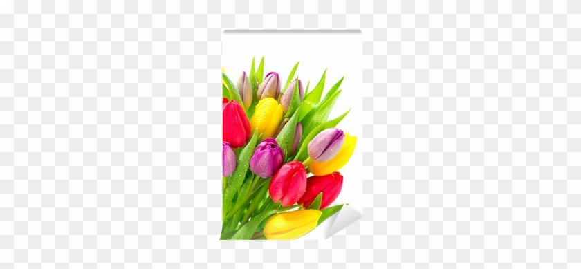 Bouquet Of Fresh Tulip Flowers With Water Drops Wall - Поздравить С Женским Днем 8 Марта #817376