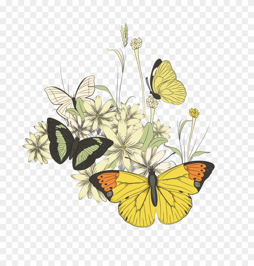 Monarch Butterfly Illustration - Monarch Butterfly Illustration #817441
