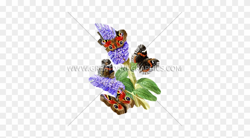 Butterflies & Flowers - Apatura Iris #817447