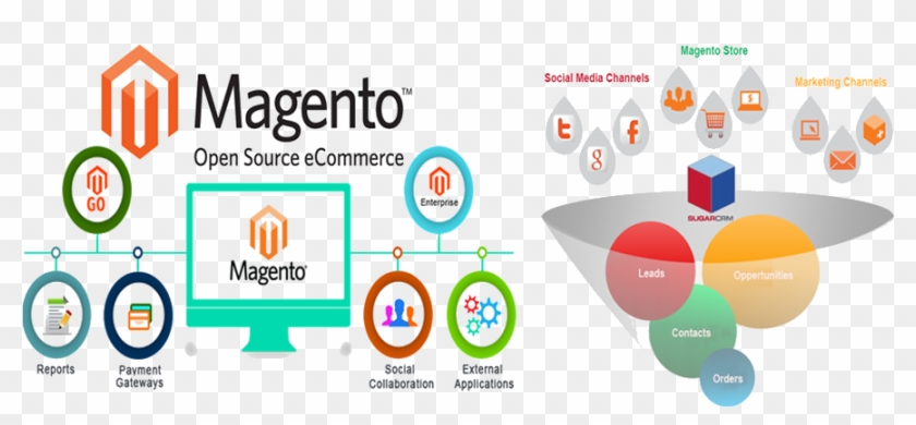 E-commerce Web Design Services - Magento Web Development #817676